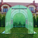 Плівкова теплиця Virgo Garden &laquo;Green Tunnel&raquo; 4&times;2.5&times;2м (10 м&sup2;) Green Tunnel фото 6